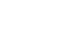 Special Ops Heroes